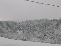 foto neve del 24 novembre 2005 4